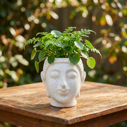 Buddha Pot