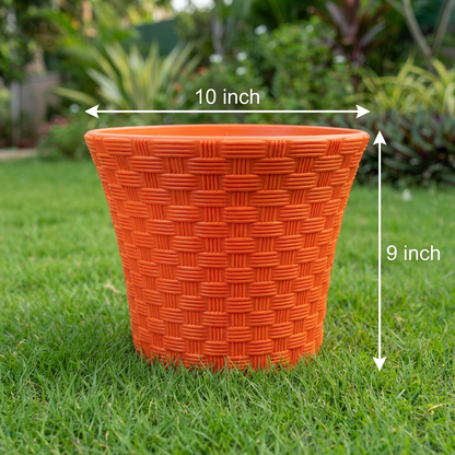 Rattan Pot
